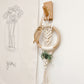 Air Plant Wall Hanging Gift Set