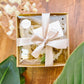 Air Plant Wall Hanging Gift Set