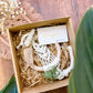 Air Plant Wall Hanging Gift Set